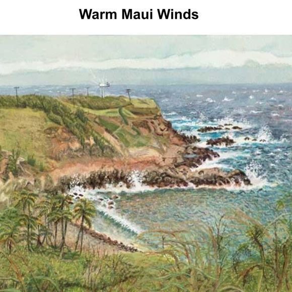 Warm Maui Winds~10x14 inch Limited Edition Giclee from Barbara Steinberg~2005 - Picture 1 of 5